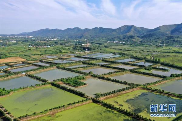 河南淅川：用绿色守护京津“水缸”——伏牛山看新变