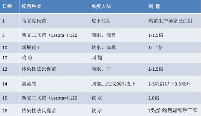 家禽养殖技术必须知道的几件事