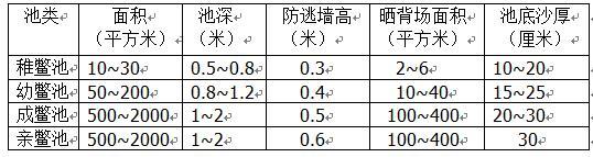 人工养鳖池的建造