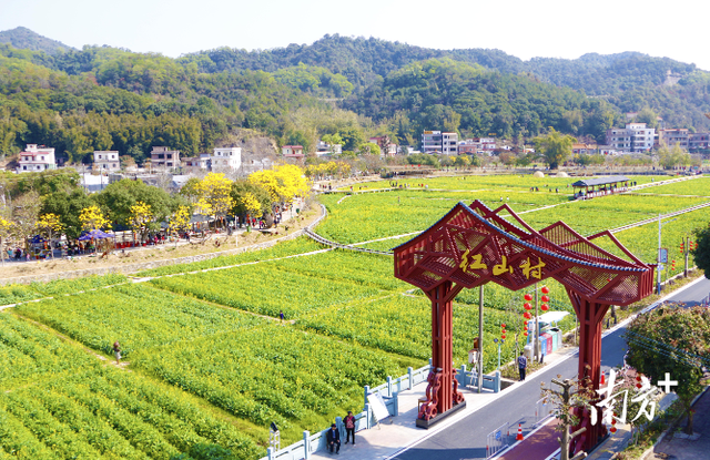 金秋时节览山水国风，广州这些美丽乡村像幅画！你挑哪幅？