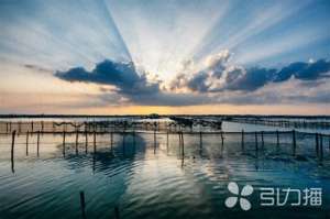 阳澄湖大闸蟹养殖基地(昆山巴城“阳澄湖大闸蟹养殖”有了省级标准)