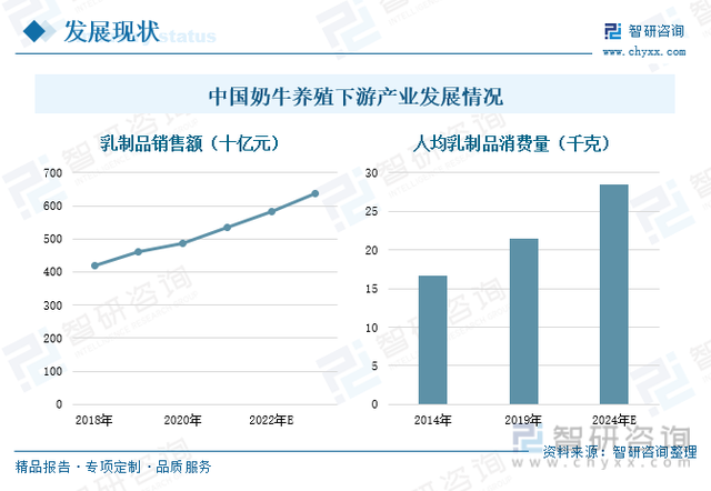 奶牛养殖行业市场现状分析：存栏量提升，大型牧场占据市场主流