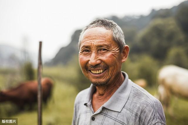 这4种家禽养殖，稳赚不赔，1年能赚10几万