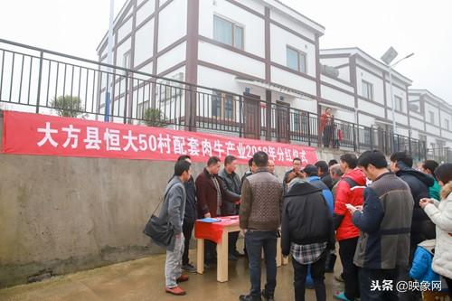 大方县恒大50村肉牛场分红，恒大助力毕节打造肉牛养殖基地