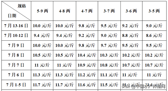 鳜鱼强势上涨，对虾鲫鱼微涨，鲈鱼黑鱼草鱼牛蛙稳定黄骨鮰鱼掉价