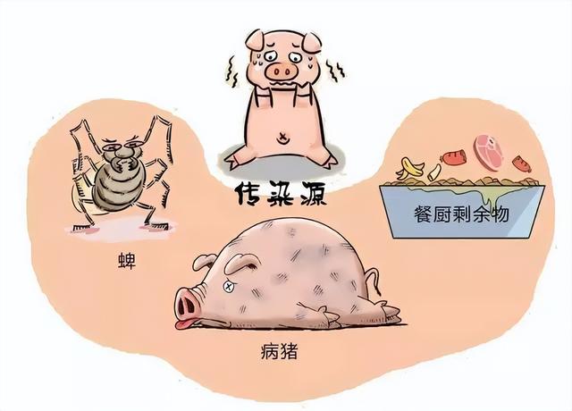 世界最大的养猪大楼！湖北这座楼26层都用来养猪，年出栏60万头