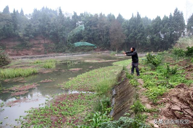 四川内江：种养循环“海陆空”