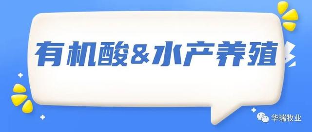 有机酸在水产养殖中的3大作用，水体解毒、抗应激、促生长