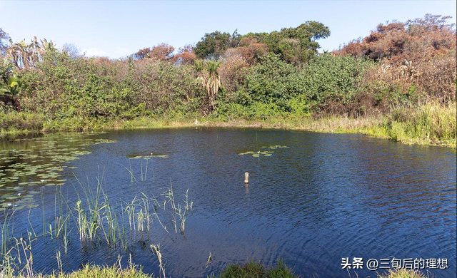 好水养好虾，从零开始的青虾养殖指南，实现高产高质的养殖环境