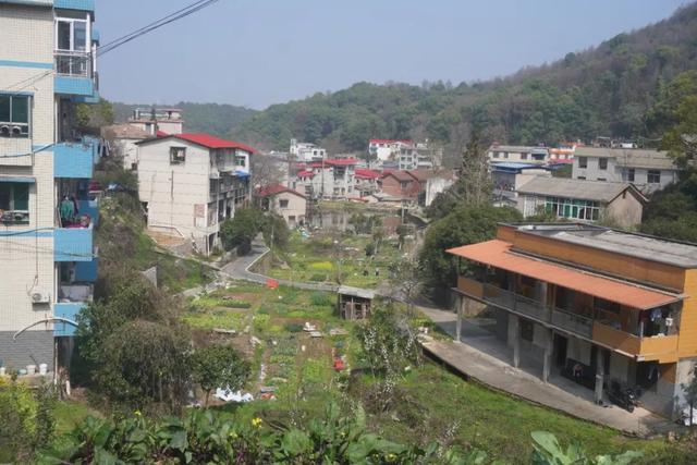 【行走长沙】岳麓山后山的艺术与面包，在遗忘中被看见的茶场村