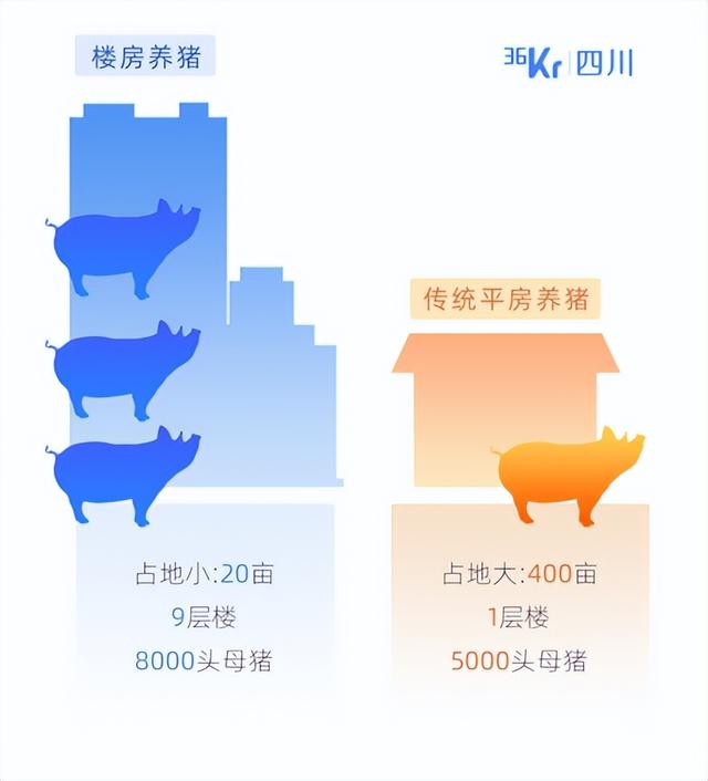 世界最大的养猪大楼！湖北这座楼26层都用来养猪，年出栏60万头