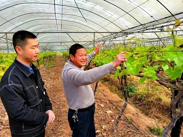 四川中江：零成本液体有机肥催生绿色生态产业