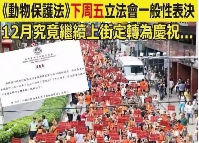 亚洲唯一合法赌狗场开放领养，600多只格力犬天天都是领养日！