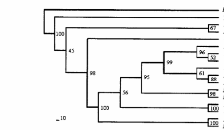 生物转化叶菜废弃物作为水产饲料补充剂的潜力