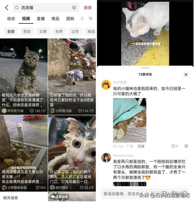 宠物生意爆发！新手无货源也能做的互联网创业项目