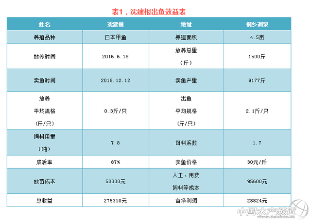 亩利润近3万！新生态养殖模式，让甲鱼养殖再次迎来生机