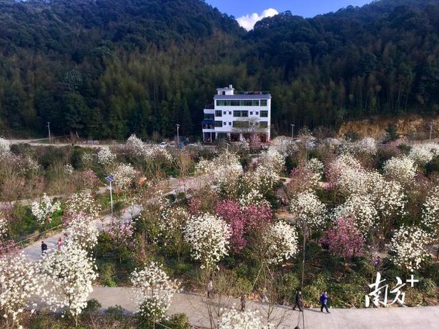 金秋时节览山水国风，广州这些美丽乡村像幅画！你挑哪幅？