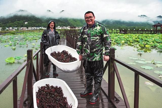 扎根乡土振兴经济 带领群众同奔小康——上林县积极实施创业致富带头人培育工程