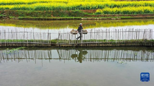 湖南常宁：特色养殖助增收