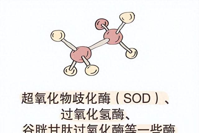 南极磷虾粉助力锦鲤养殖：血清生化指标和菌群变化大揭秘！