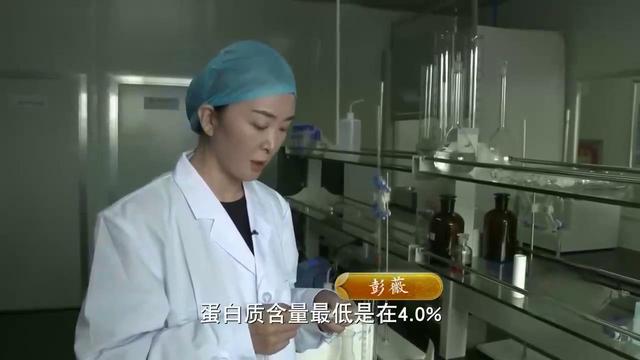 圈养的骆驼不吃草，产奶少？新疆姑娘解决难题，年销售额3000万元