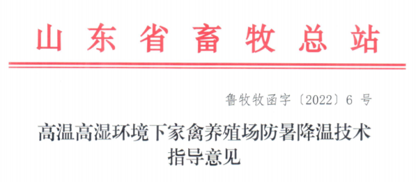 鸡鸭鹅中暑怎么办？山东发布家禽养殖场防暑降温技术指导意见