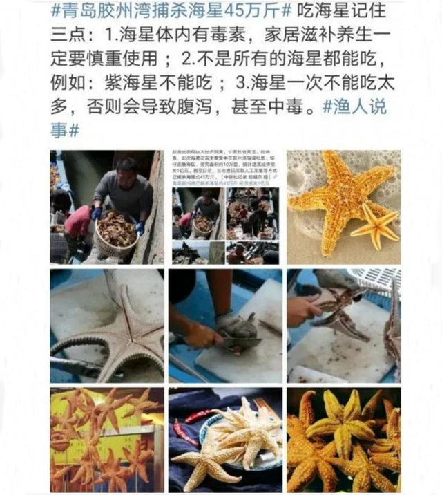 胶州湾海星泛滥，价值一亿的海鲜被吃光！网友主动请战：能吃吗？