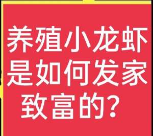 养殖龙虾前景(养殖小龙虾能赚钱吗？养殖风险有哪些？答案都在这里)