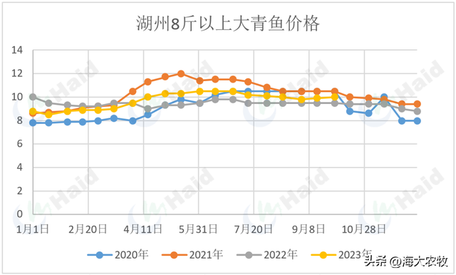 前期投喂低，黄金生长期短？青鱼养殖高效益怎么保障？