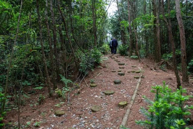 摇滚、晚会、露营......宣汉县高峰岩生态颐养庄园，安排！