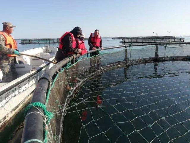 长岛海洋经济促进中心实地调研生态渔业养殖