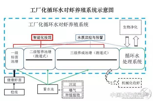 低盐度养虾成功率更高？工厂化模式有何进展？这场培训班告诉你答案