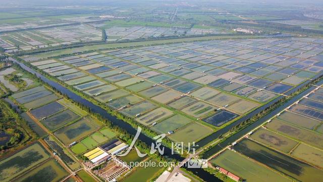 江苏泗洪：废弃水道变身珍珠养殖基地