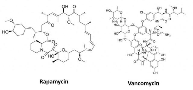 养殖泥鳅时，如何提高其存活率？水质净化和浮床覆盖一样都不能少