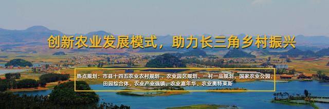 厉害了！“稻渔共生+跑道养鱼”养殖模式，亩产值可达1.5万元