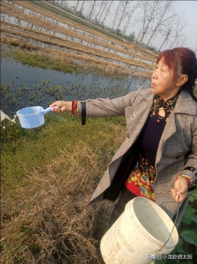 冬季给小龙虾投喂豆浆的全过程，浸泡，打磨，投喂全部在这里