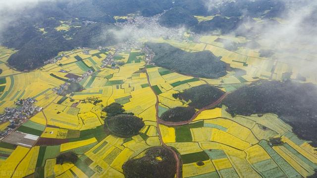 已获审批！12月第三周全国最新50个种植、养殖项目汇总清单来了