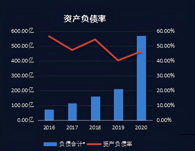 生猪养殖龙头——牧原股份财务报表分析报告