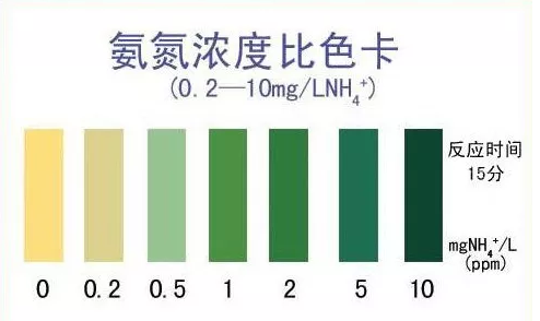 对虾养殖，水质是根本，利用“智能大数据”调理水质，快准狠