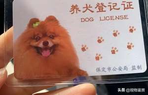 犬类养殖许可证(宠物医院可以办狗证吗？办理狗证的步骤，养狗需要办什么证)