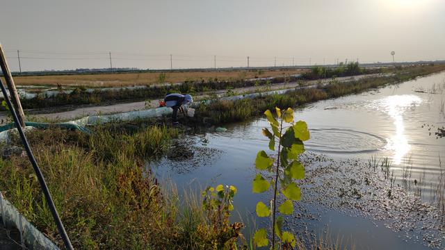 吕宗飞：返乡创业当好“新农人” 一田双收走出“新稻路”