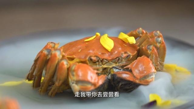 到常熟，品尝“喝阳澄湖水、吃益生菌”的2.0版大闸蟹