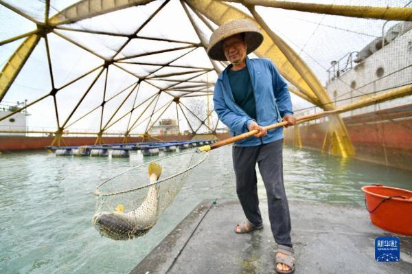 福建：耕海牧渔 走向深蓝