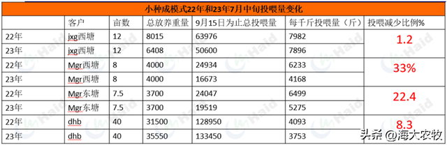 前期投喂低，黄金生长期短？青鱼养殖高效益怎么保障？