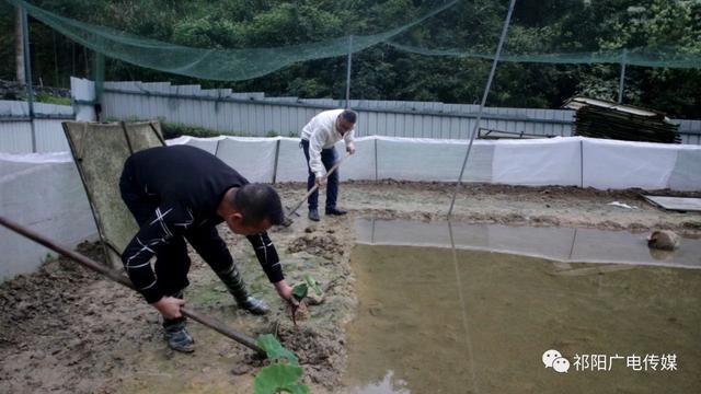 湖南永州祁阳：“外来户”杨昌和带领当地百姓靠养殖青蛙致富