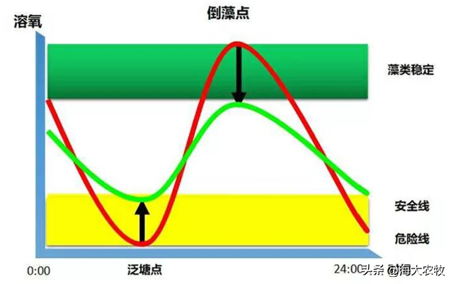 都怕泛塘，可养殖风险咋预防？