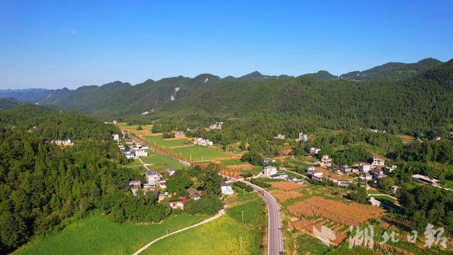 咸丰鸡鸣坝：生态养鸡 致富好“钱”程