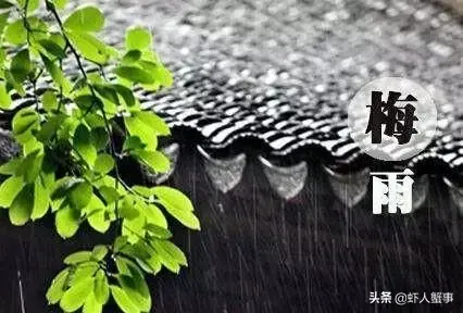 华北地区养殖小龙虾(七月份梅雨时节，小龙虾养殖管理稍有不慎，损失惨重)