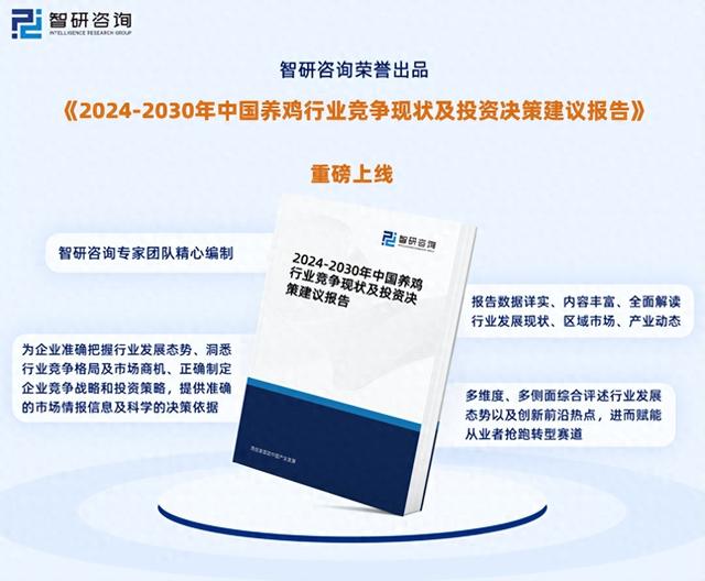 中国养鸡行业深度分析、投资前景及未来趋势预测报告（智研咨询）