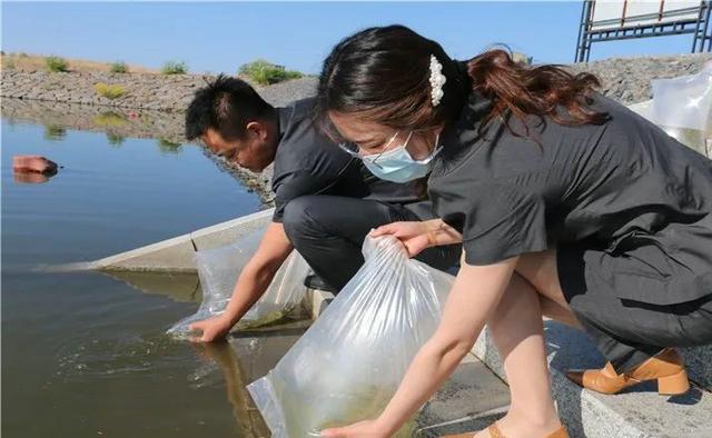 新规：超过10种鲤鱼、6种鲈鱼禁止放生，网友：为时已晚